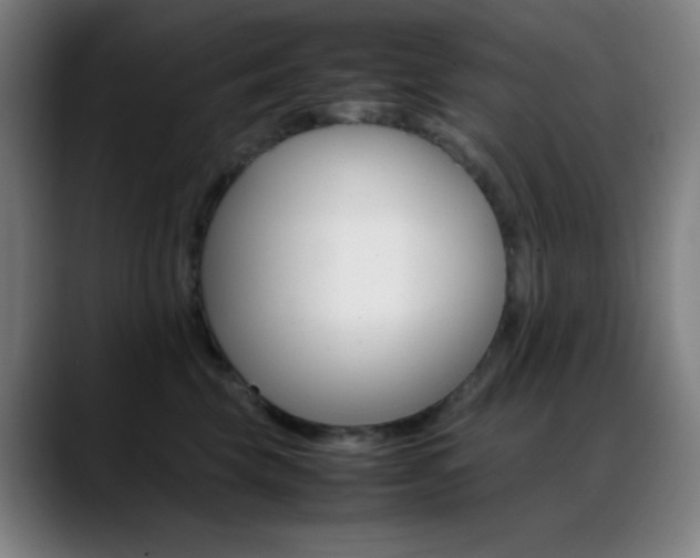 X0000089350569200706151103