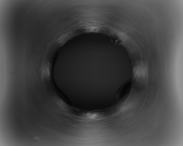 X0000089350570200706151103