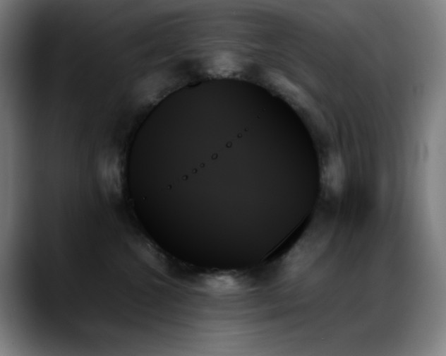 X0000089350572200706151103