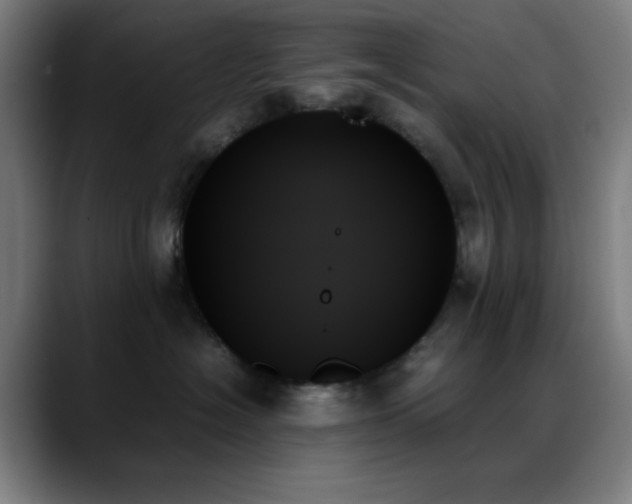 X0000089350574200706151103