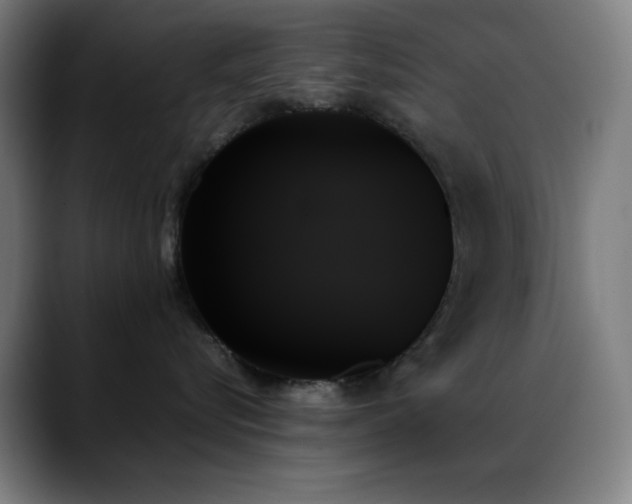 X0000089350576200706151103