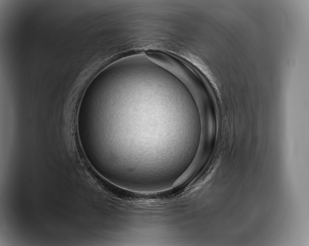 X0000089350577200706151103