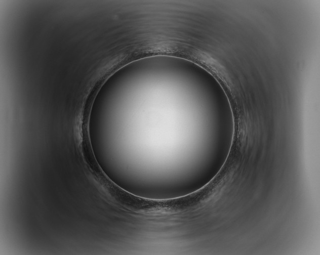 X0000089350578200706151103