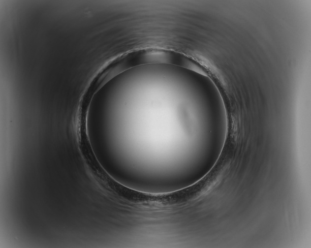 X0000089350580200706151103