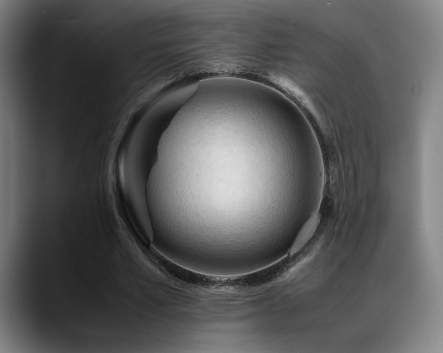 X0000089350581200706151103