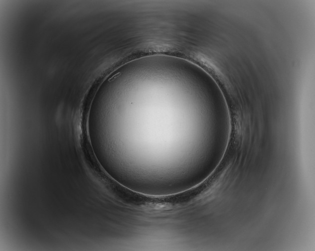 X0000089350582200706151103