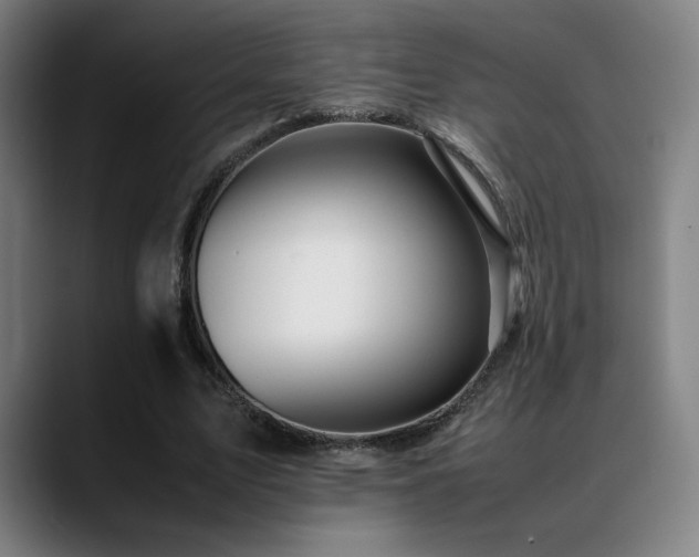 X0000089350583200706151103