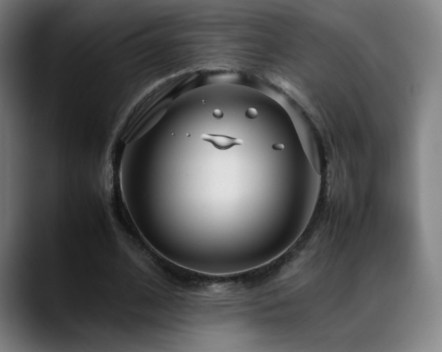X0000089350584200706151103