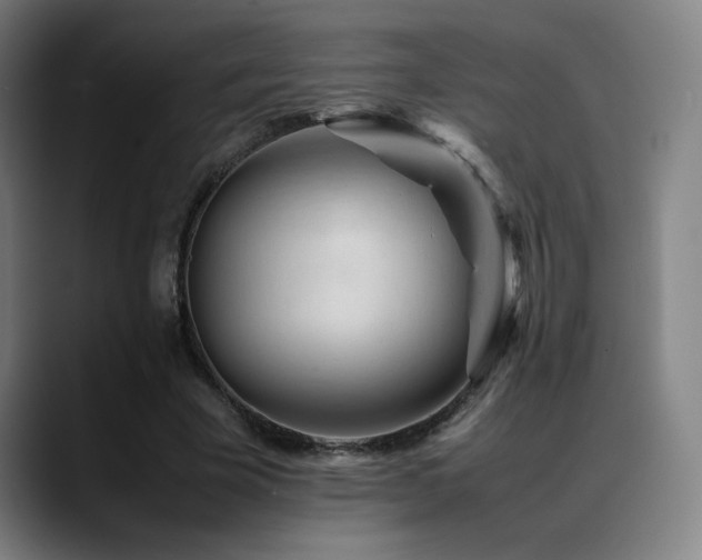 X0000089350585200706151103