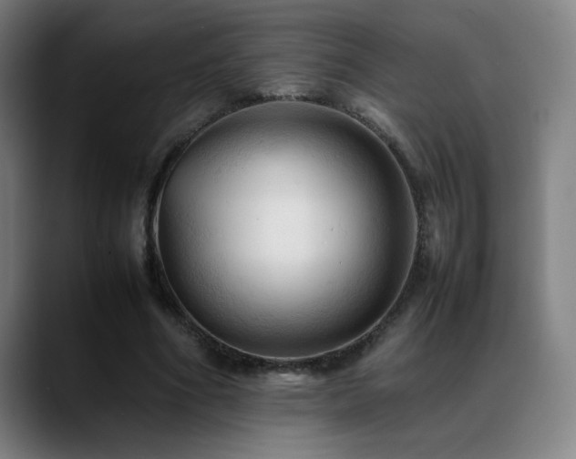 X0000089350586200706151103