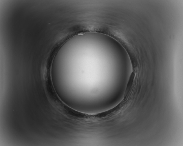 X0000089350587200706151103