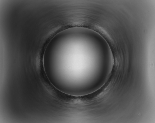 X0000089350588200706151103