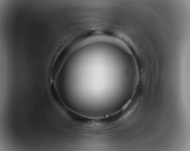 X0000089350589200706151103