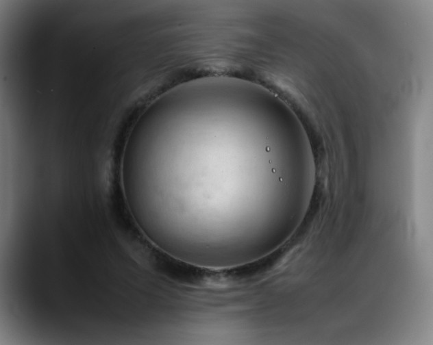 X0000089350591200706151103