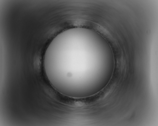 X0000089350592200706151103