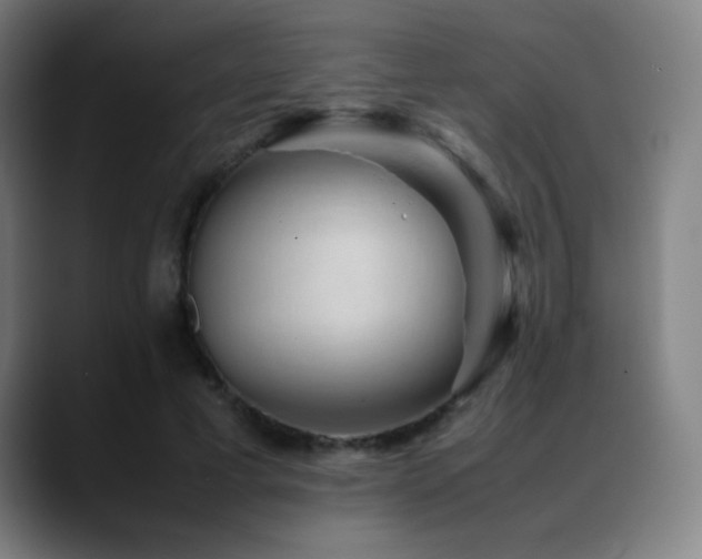 X0000089350593200706151103