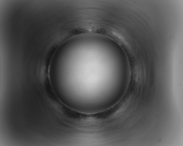 X0000089350594200706151103