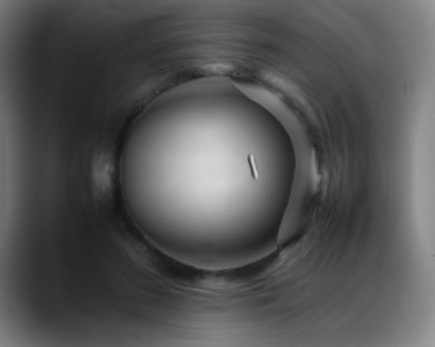 X0000089350596200706151103