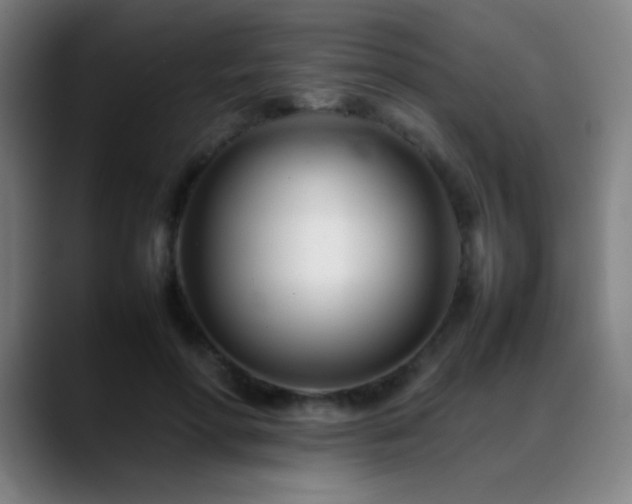 X0000089350598200706151102
