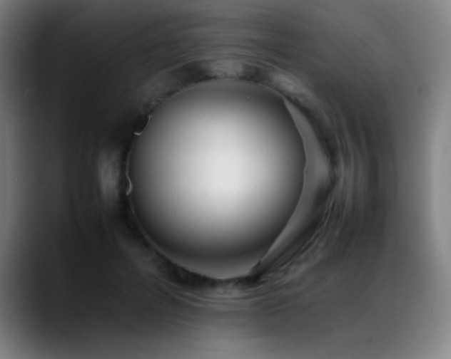 X0000089350600200706151102