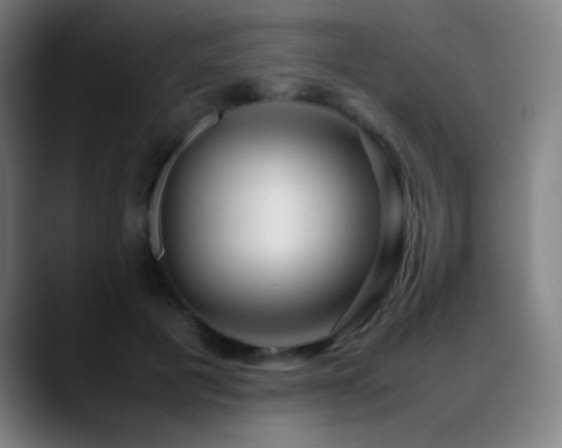 X0000089350601200706151102