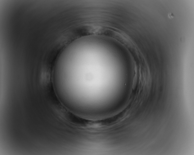 X0000089350602200706151102