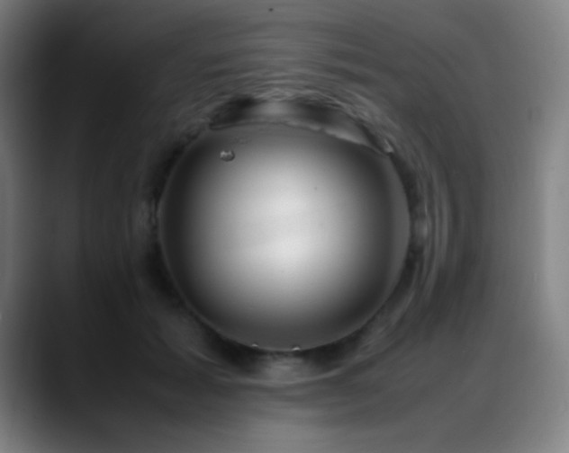 X0000089350605200706151102