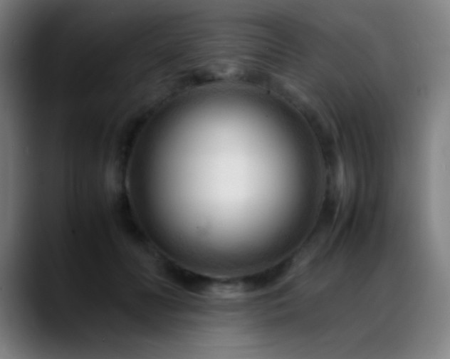 X0000089350606200706151102