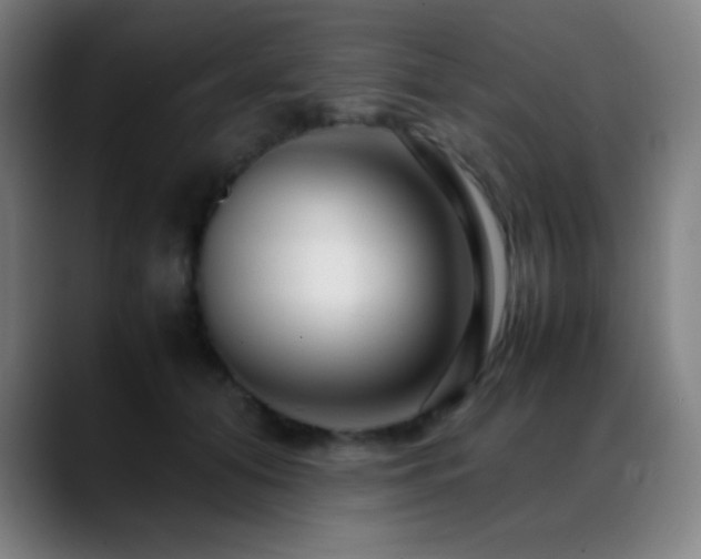 X0000089350608200706151102
