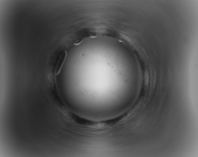 X0000089350609200706151102