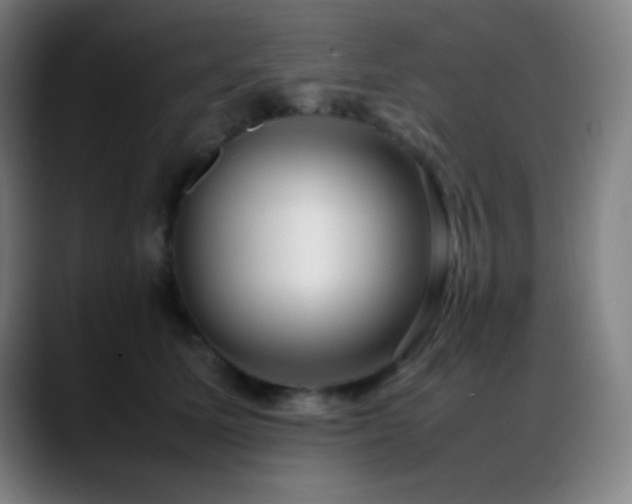 X0000089350611200706151102