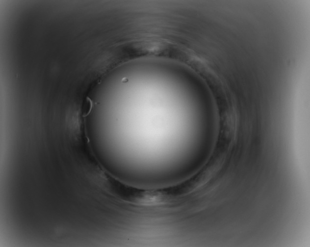 X0000089350612200706151102