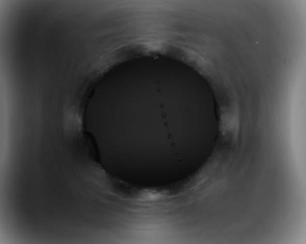 X0000089350613200706151102
