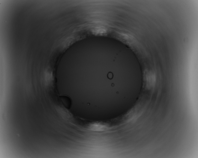 X0000089350614200706151102
