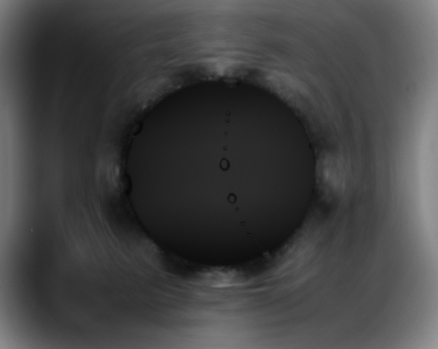 X0000089350615200706151102