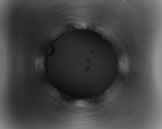X0000089350616200706151102