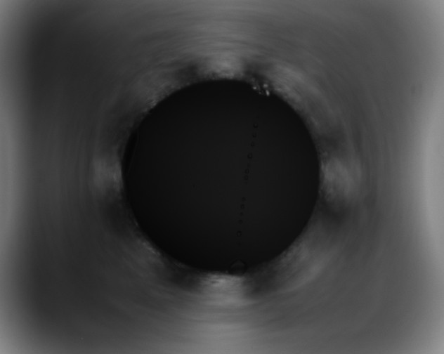 X0000089350617200706151102