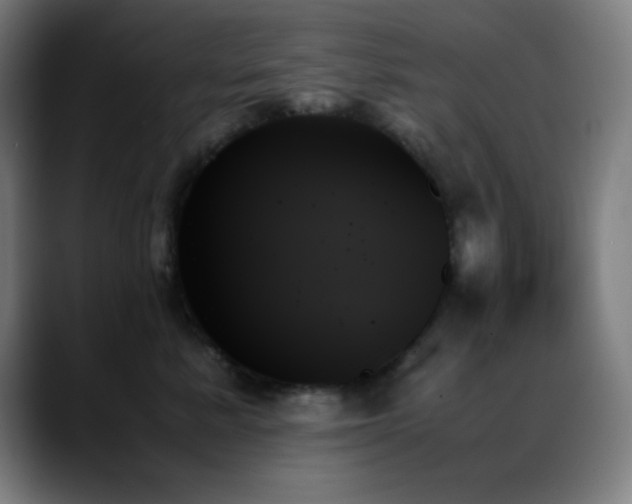 X0000089350619200706151102