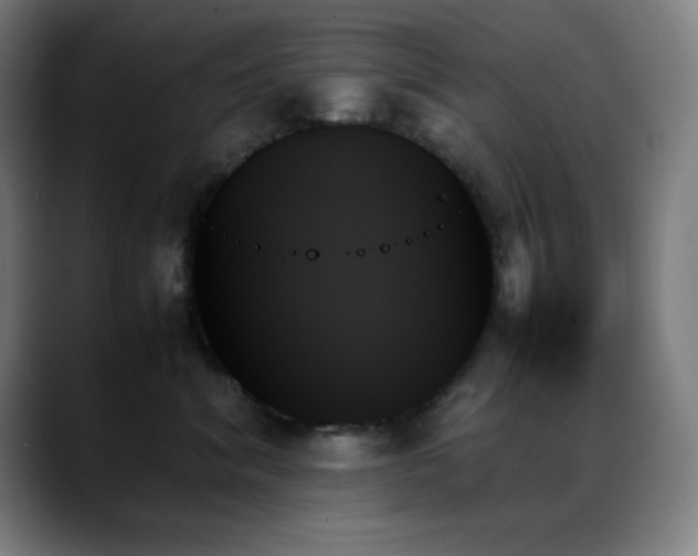 X0000089350620200706151102