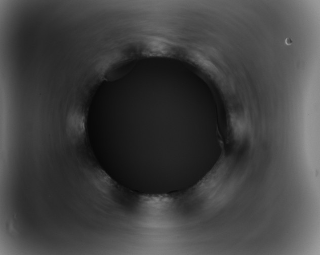 X0000089350621200706151102