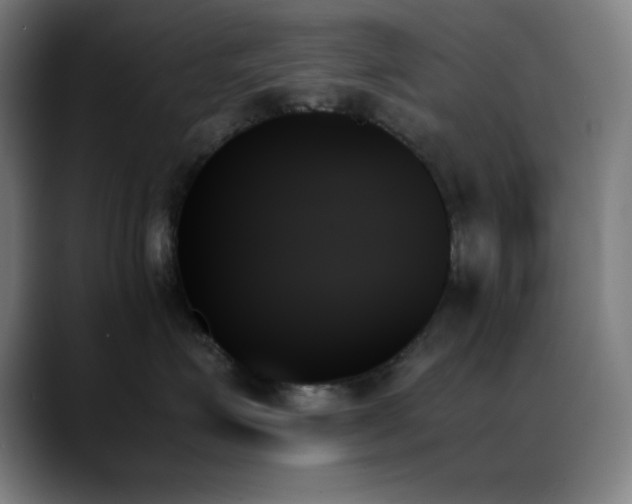 X0000089350623200706151102