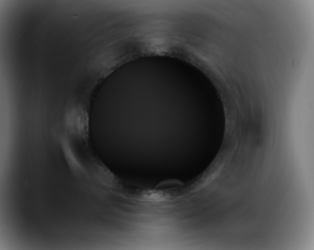 X0000089350624200706151102