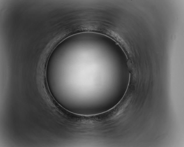 X0000089350625200706151102