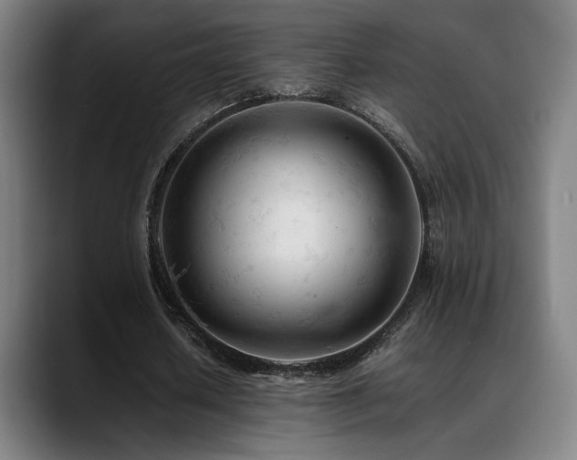 X0000089350626200706151102