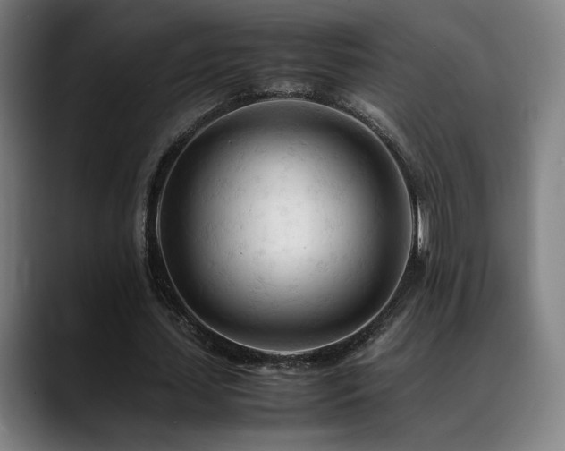 X0000089350627200706151102