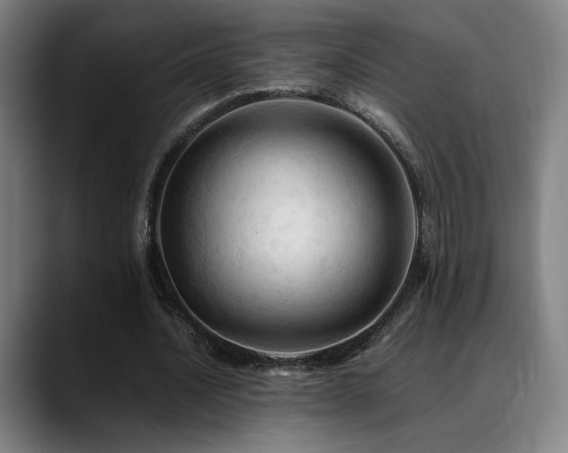 X0000089350628200706151102