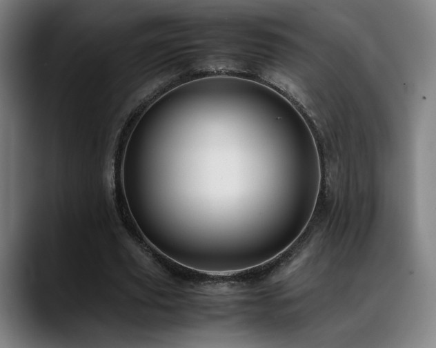 X0000089350629200706151102