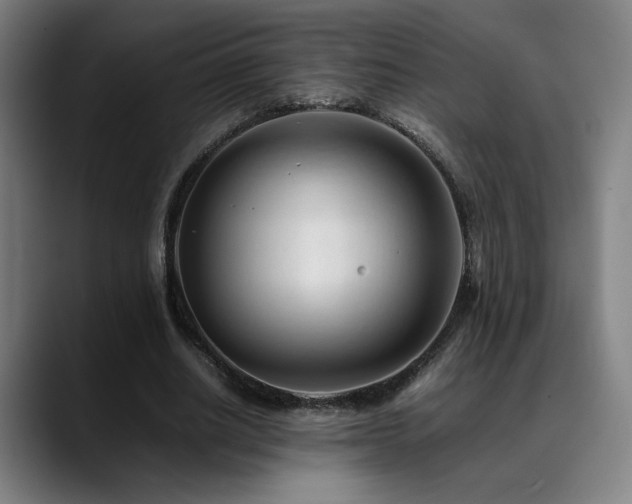 X0000089350630200706151102