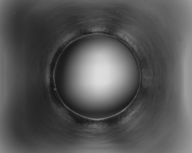 X0000089350631200706151102