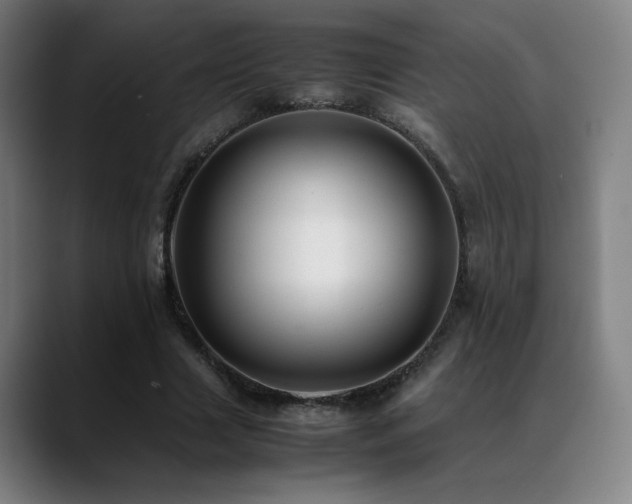 X0000089350633200706151102